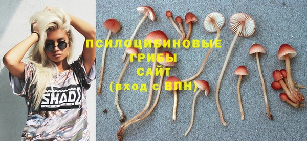 тгк Абинск