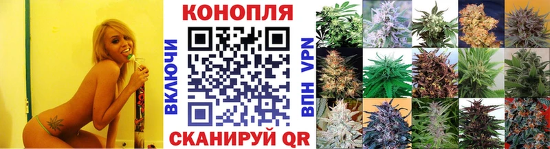 цена   Чердынь  Бошки Шишки THC 21% 